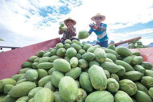 每日吃瓜大赛入口汇聚地  第3张